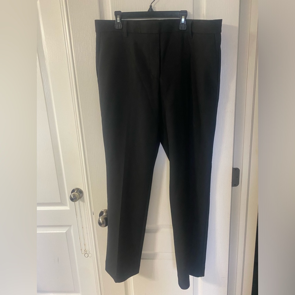 Ann Taylor Marisa Pant